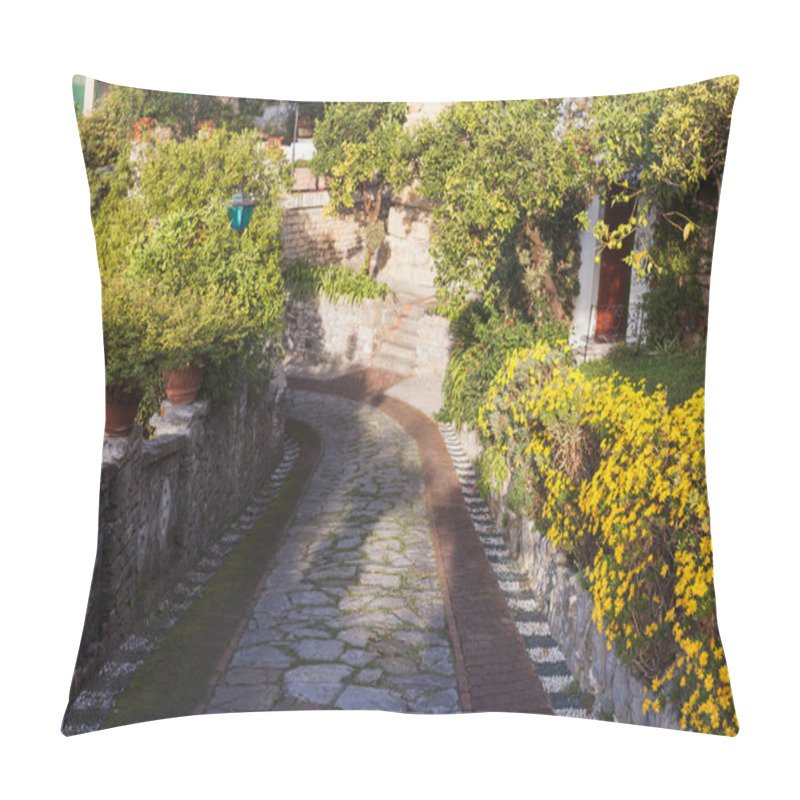 Personality  Pathway Pillow Covers