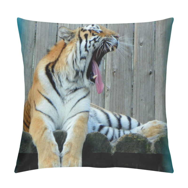 Personality  Ukraine, Transcarpathia, Synevyrska Polyana, Ecopark Valley Of The Wolves, Tiger Pillow Covers