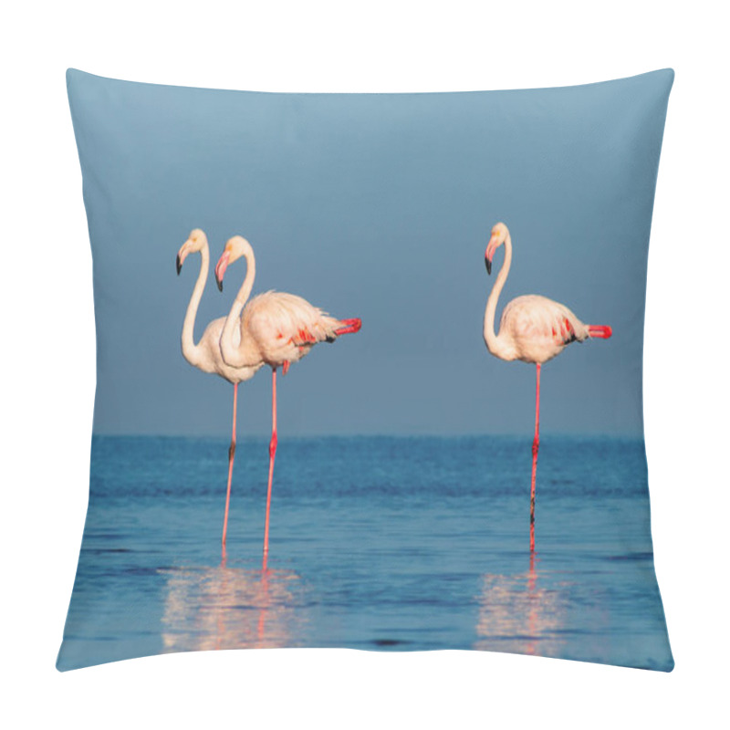 Personality  Wild African Birds. Group Birds Of Pink African Flamingos  Walking Around The Blue Lagoon On A Sunny Day Pillow Covers