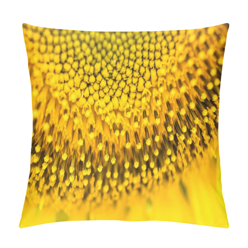 Personality  A Close-Up View Of The Vibrant Yellow Sunflower Showing Intricate Details Of The Seeds And Petals In Natural Light. Pillow Covers