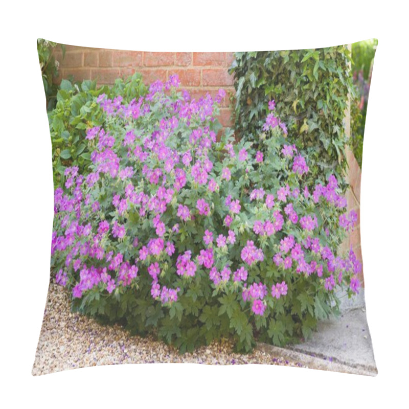 Personality  Geranium Sylvaticum (wood Cranesbill), A Hardy Perennial With Purple Flowers Growing In An English Cottage Garden In Spring, UK Pillow Covers