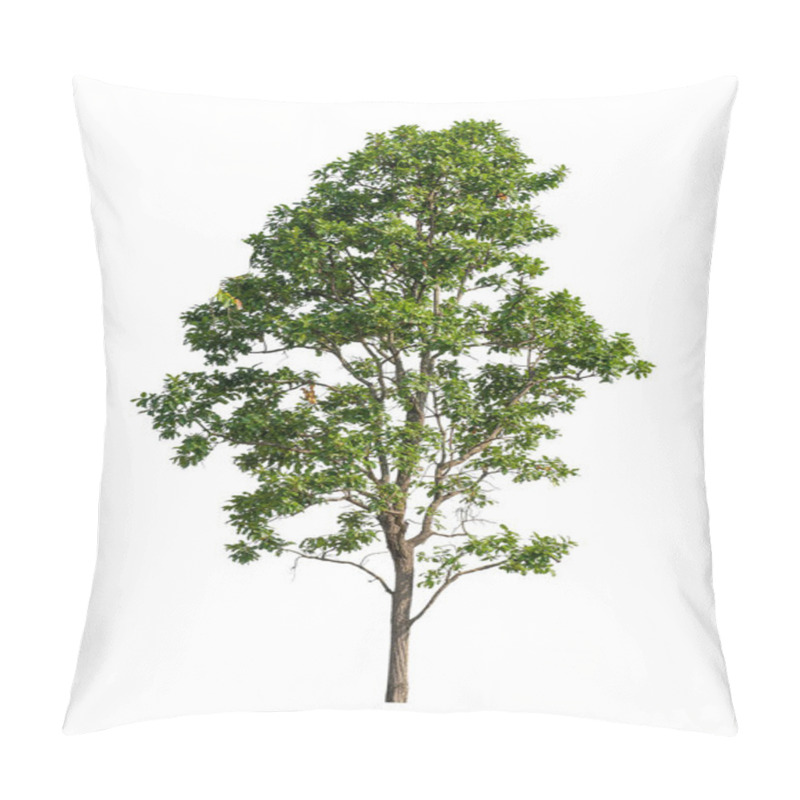 Personality  Tree That Are Isolated On A White Background Are Suitable For Both Printing And Web Pages Pillow Covers