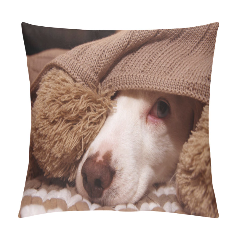 Personality  SICK OR SCARED DOG COVERED WITH A WARM  TASSEL BLANKET Pillow Covers