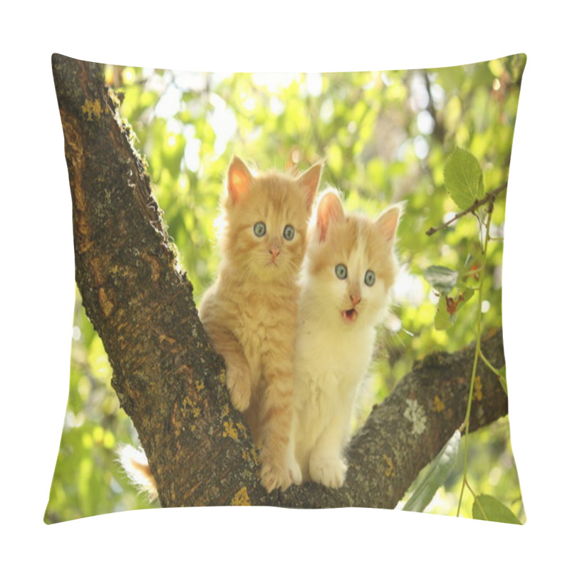 Personality  Two Cute Kittens Sitting On The Tree Branch Pillow Covers