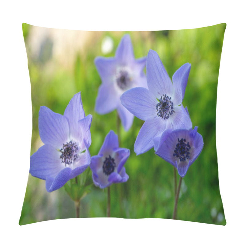 Personality  Wild Plant; Blue Anemone Flower Pillow Covers