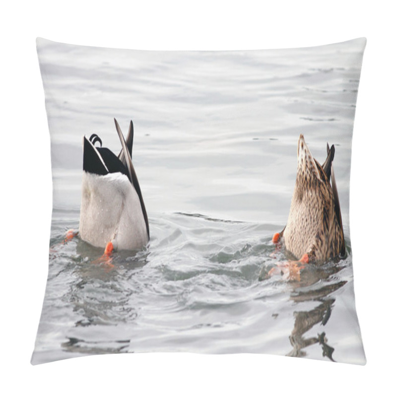 Personality  Diving Ducks Pillow Covers