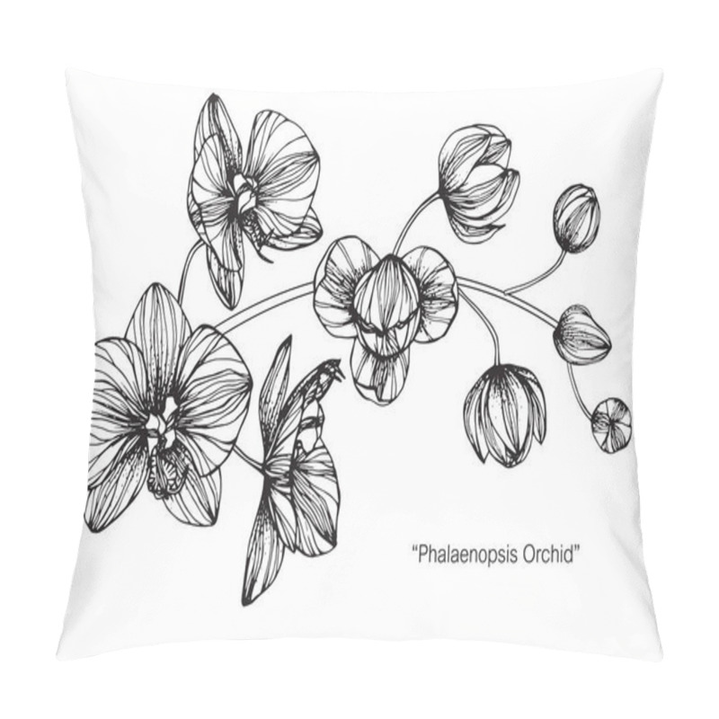 Personality  Orchids Flower. Drawing And Sketch With Black And White Line-art. Pillow Covers