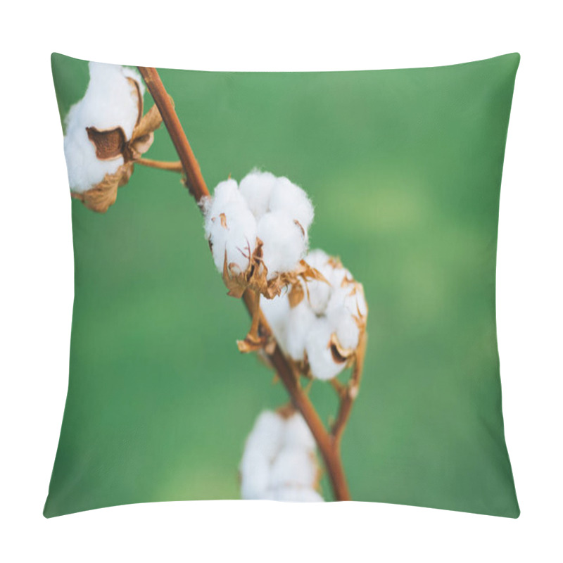 Personality  Close Up Photo Of Cotton Flowers Outdoor Over Green Background Pillow Covers