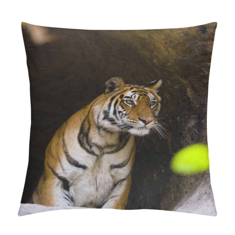 Personality  One Wild Tiger. Pillow Covers