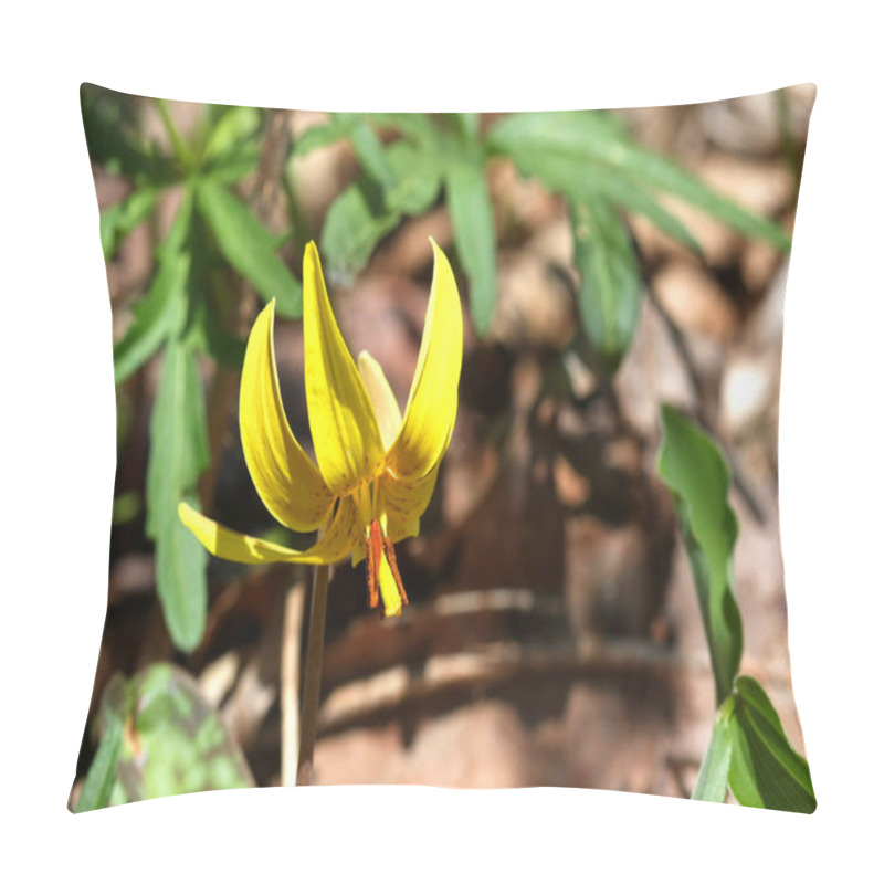 Personality  Trout Lily Erythronium Flower Early Spring Morning Sun Pillow Covers