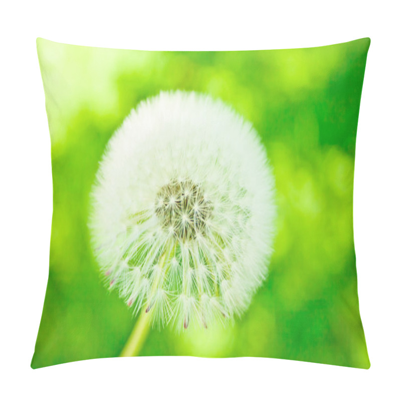 Personality  Withe Downy Dandelion On Green Pillow Covers