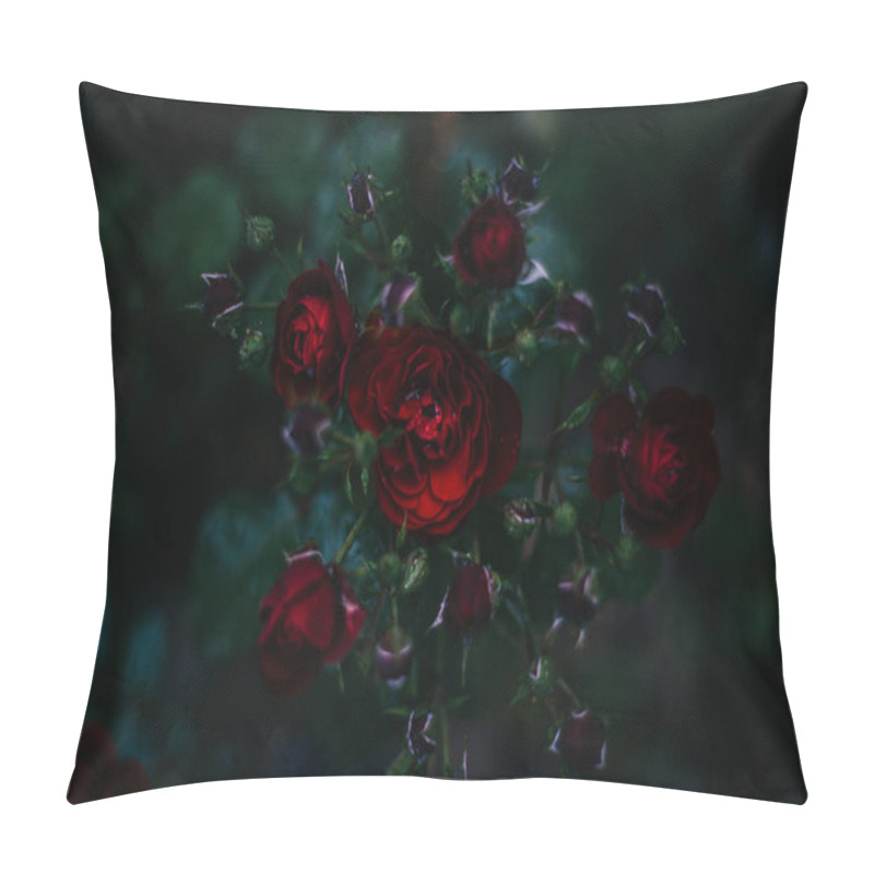 Personality  Close Up Of Roses Flowers Growing Outdoor, Yaremche Pillow Covers