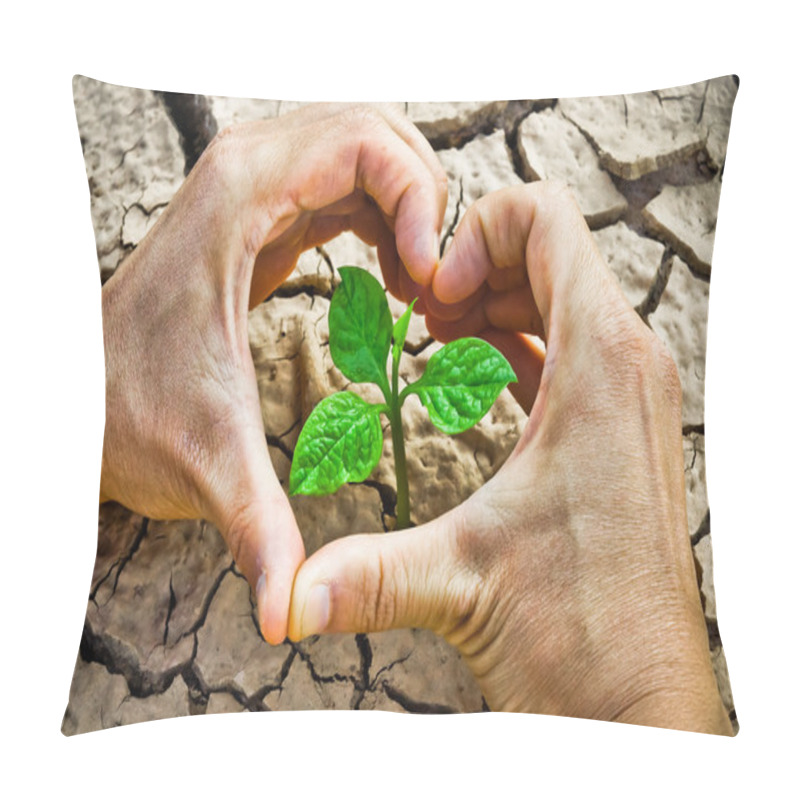 Personality  Tree Growing On Cracked Earth Pillow Covers