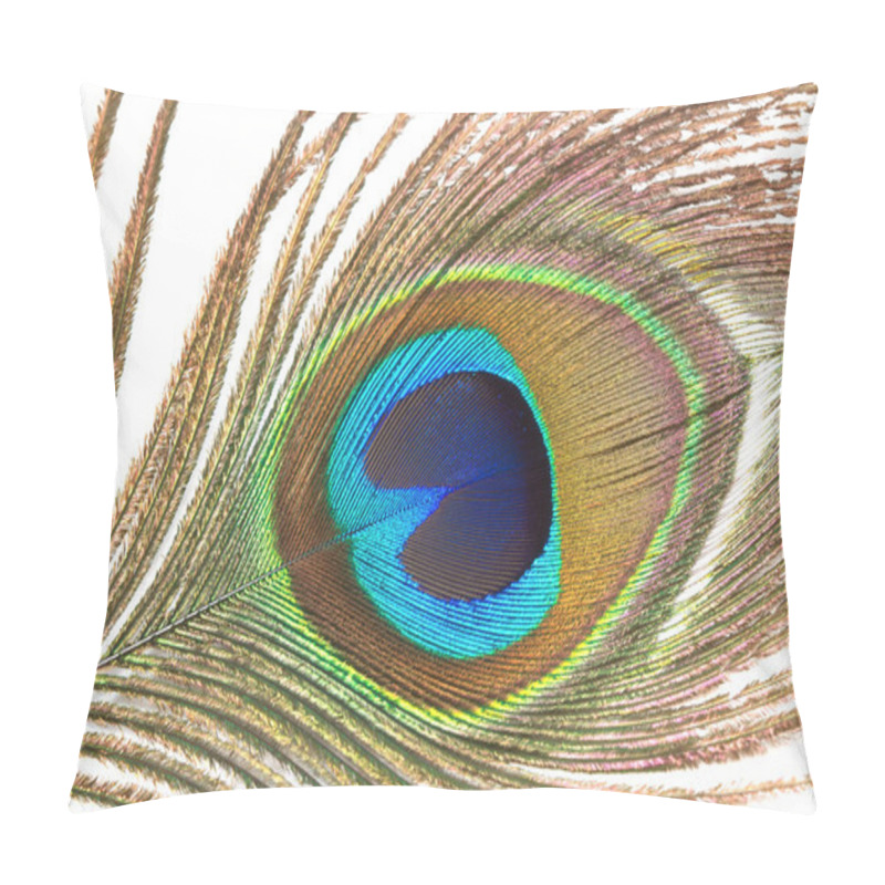 Personality  Close Up Of Peacock Feather On A White Background Pillow Covers