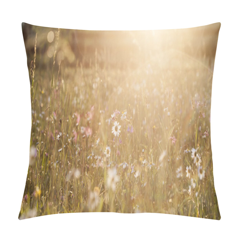 Personality  Summer Meadow Full With Daisies After Rain Pillow Covers