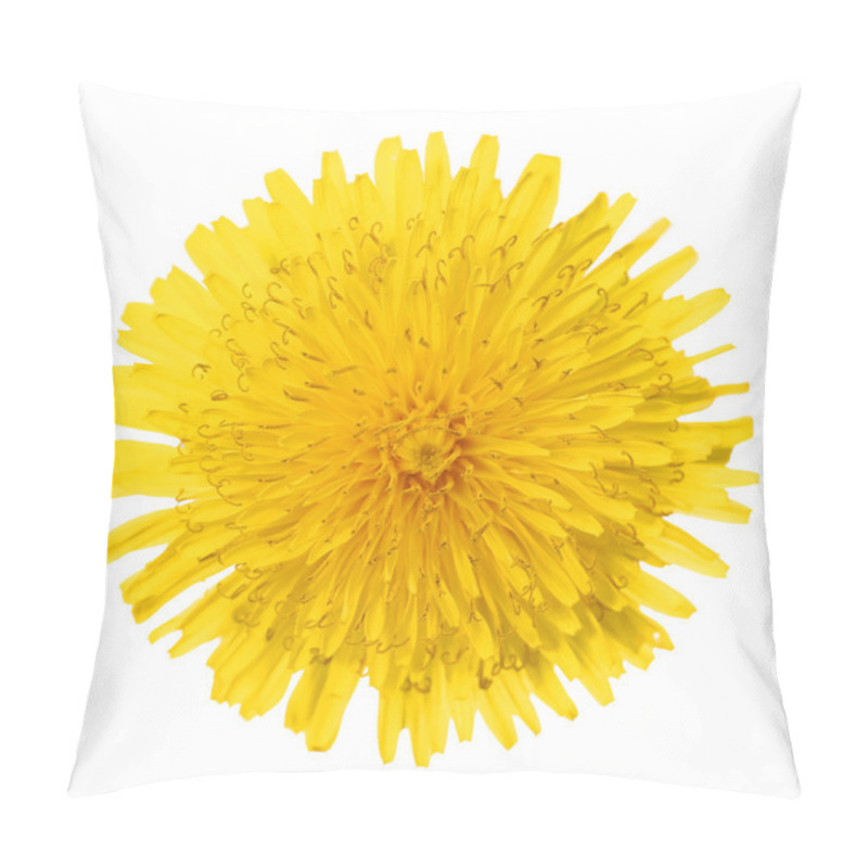 Personality  Yellow Dandelion Flower Isolated On White. Taraxacum Officinale. Pillow Covers