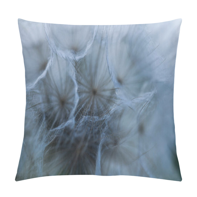 Personality  Closeup Image Of White Dandelion. Dandelion Seeds In Macro Photo. Nature Photography Concept. Pillow Covers