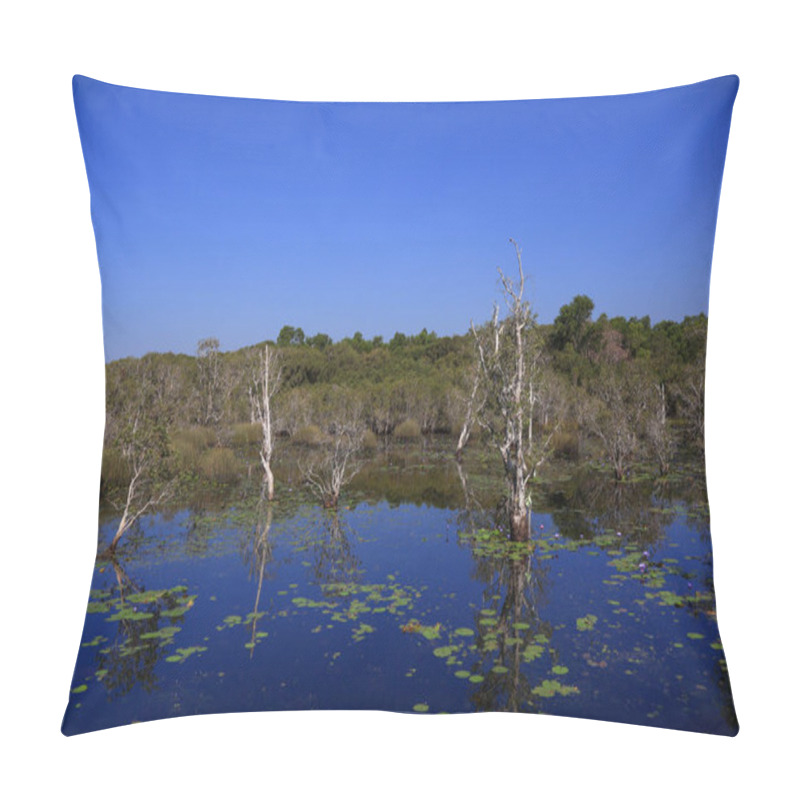 Personality  A Large Lotus Pond With A Small Mountain Is A Tourist Attraction In Rayong Province, Thailand. Botanical Garden Pillow Covers