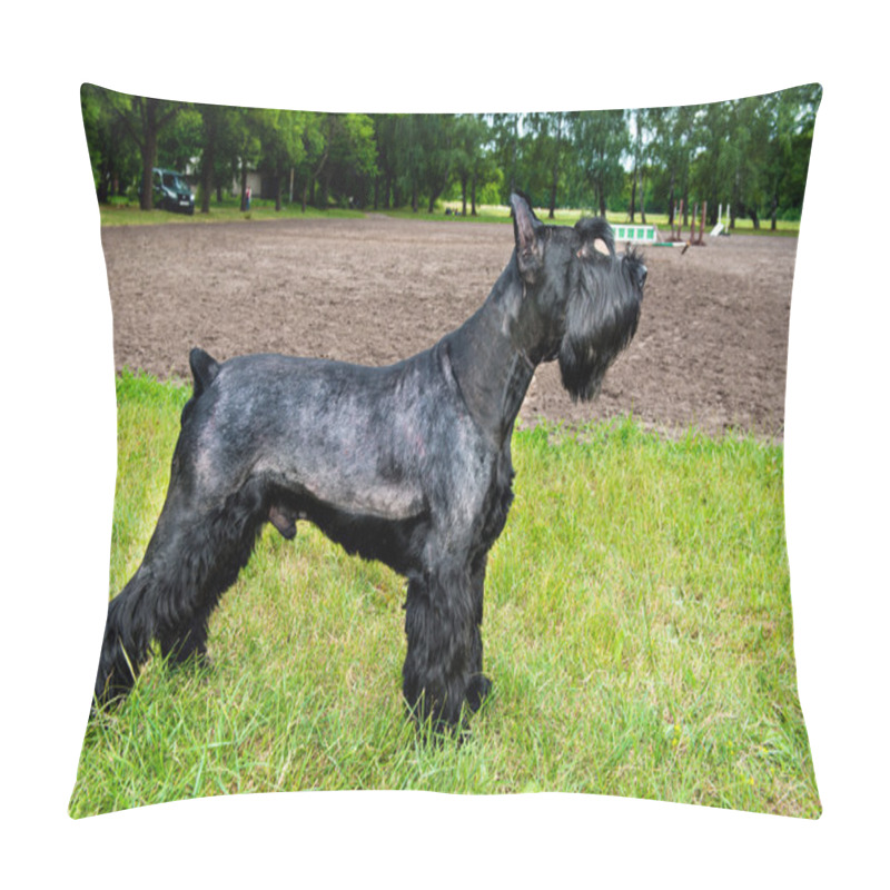 Personality  Giant Schnauzer Profile. Pillow Covers