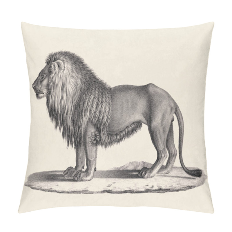 Personality  Lion Illustration. Pencil Sketch Of A Lion Isolated On An Aged  Beige Background. Pillow Covers