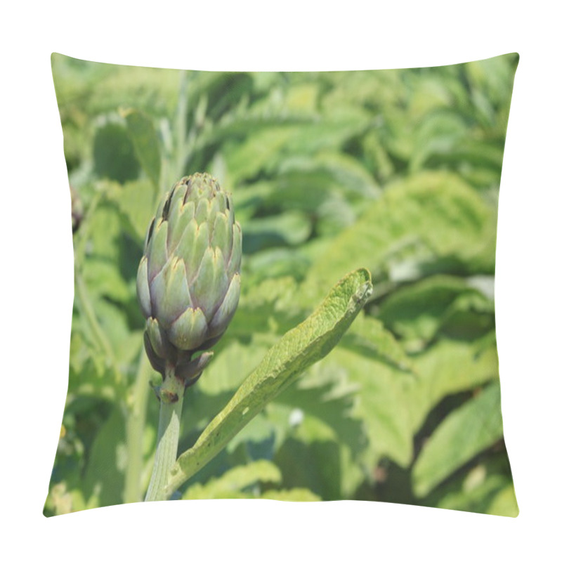 Personality  Artichockes Pillow Covers