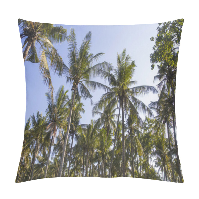 Personality  View At Tropical Palm Trees At Nusa Penida At Bali Island, Indonesia Pillow Covers