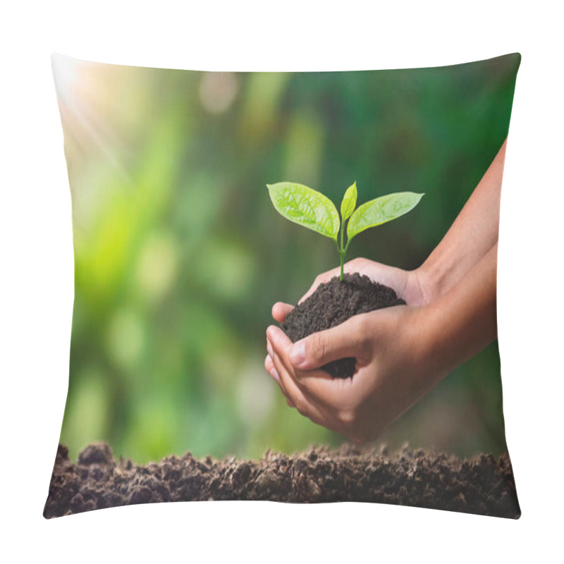 Personality  Hand Holding Young Plant With Sunlight. Concept Eco Earth Day Pillow Covers