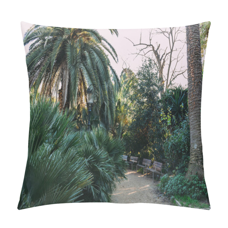 Personality  Green Trees And Bushes, Bunches And Walking Path In Parc De La Ciutadella, Barcelona, Spain Pillow Covers