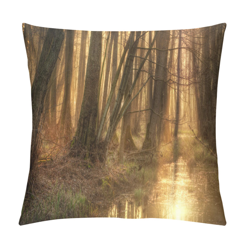 Personality  Golden Morning Pillow Covers