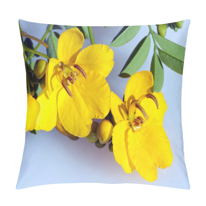 Personality  Chinesische Senna, Cassia Senna Pillow Covers