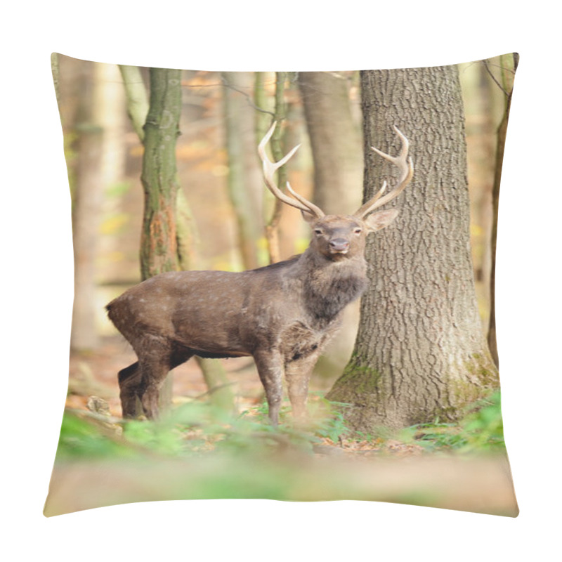 Personality  Deer Pillow Covers