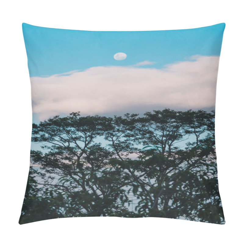 Personality  Serene Dusk With Moon And Clouds And Exotic Tree In The Foreground, Shot In Australia Pillow Covers