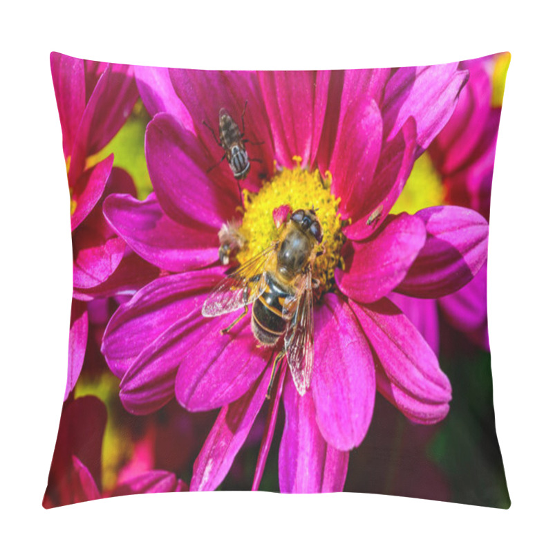 Personality  Batman Hoverfly - Myathropa Florea,  Flower Fly Hoverfly Collects Nectar On Autumn Flowers Chrysanthemum  Pillow Covers