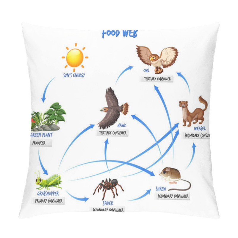 Personality  Food Chain Diagram Concept Illustration Pillow Covers