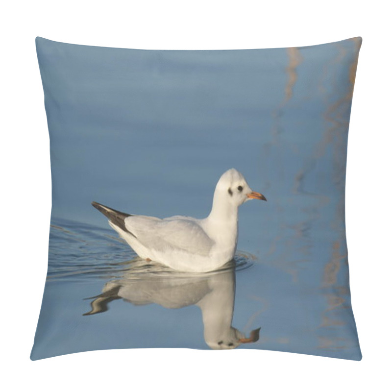 Personality  Black-headed Gull - (Chroicocephalus Ridibundus)  Pillow Covers