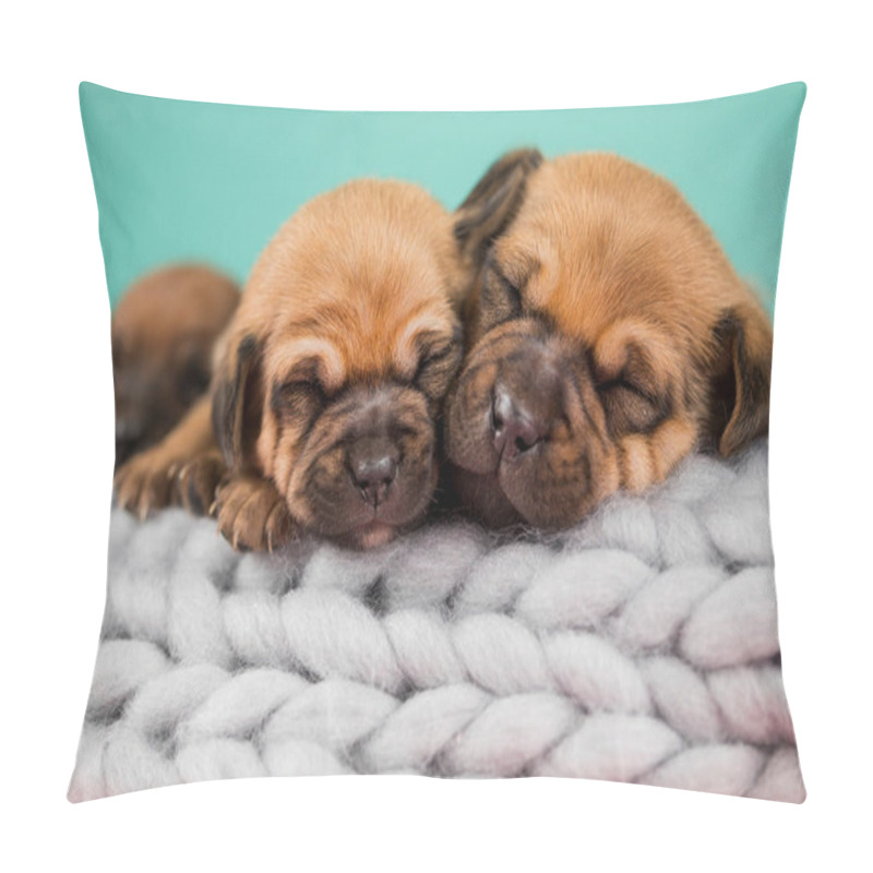 Personality  Pet, Dog Puppy, Sleeps On A Blanket Pillow Covers