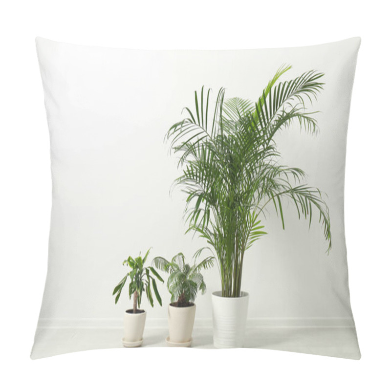 Personality  Tropical Plants With Lush Leaves On Floor Near White Wall Pillow Covers