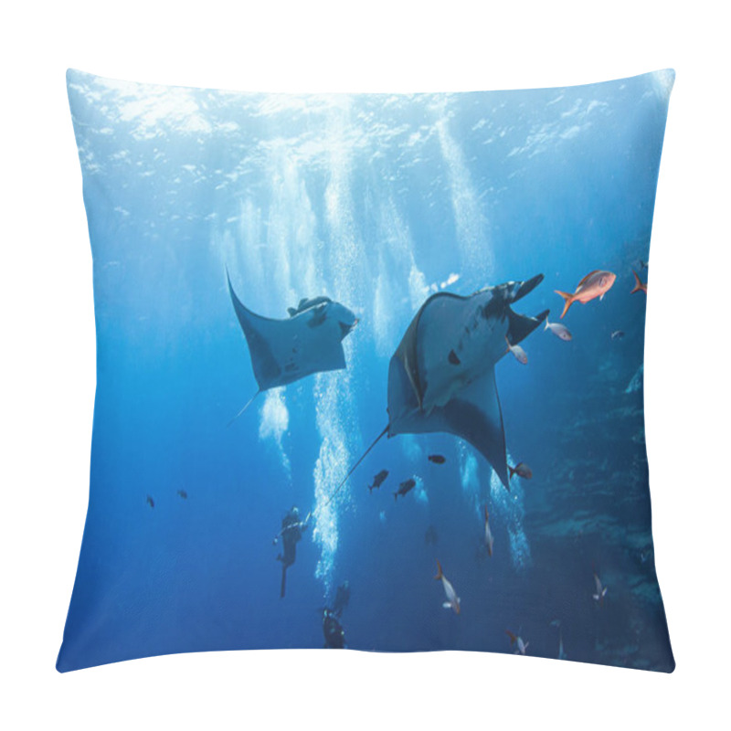 Personality  Picture Shows A Manta Ray At Isla Revillagigedos, Mexico Pillow Covers