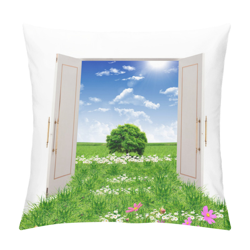 Personality  Open Door Leading To Summer Pillow Covers