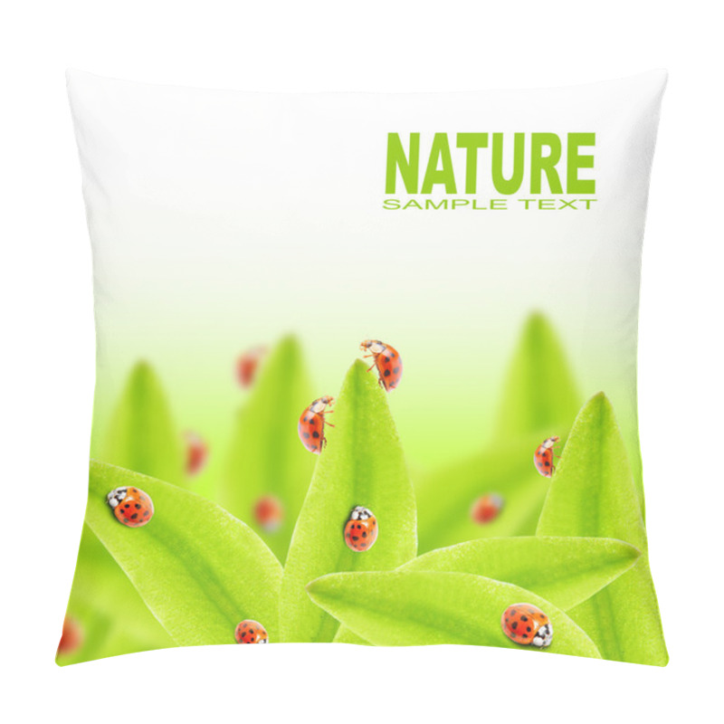 Personality  Natural Background With Ladybugs Pillow Covers