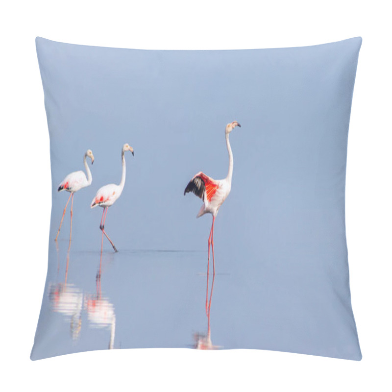 Personality  Wild African Birds. Group Birds Of Pink African Flamingos  Walking Around The Blue Lagoon On A Sunny Day Pillow Covers