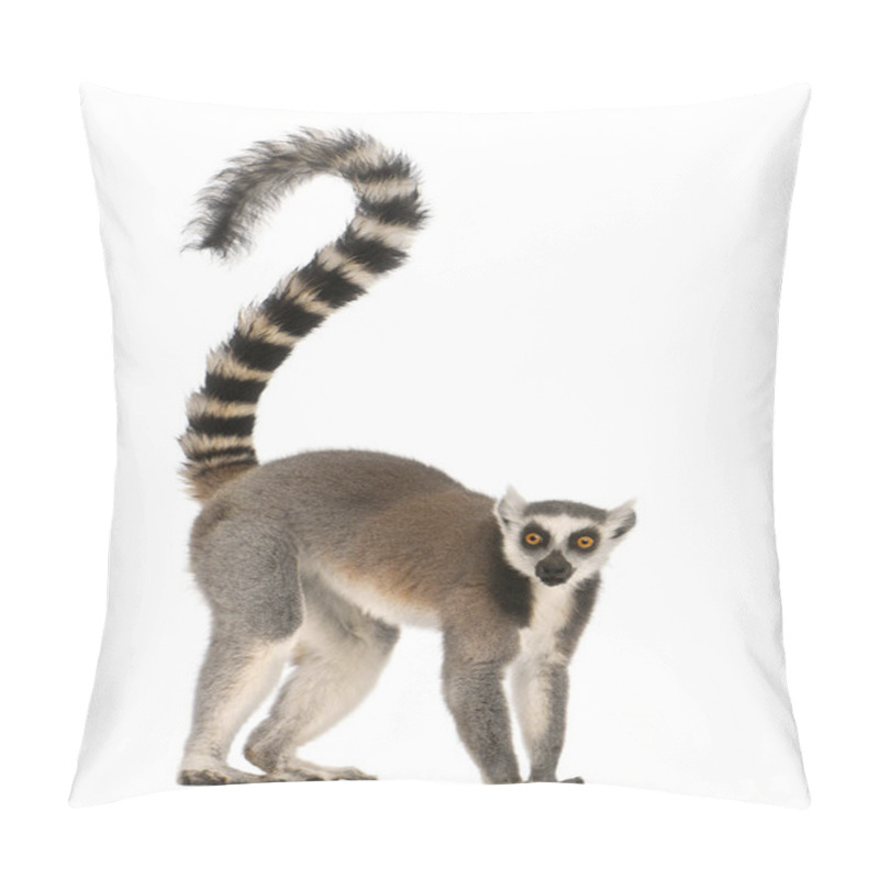 Personality  Ring-tailed Lemur, Lemur Catta, 7 Years Old, In Front Of White B Pillow Covers