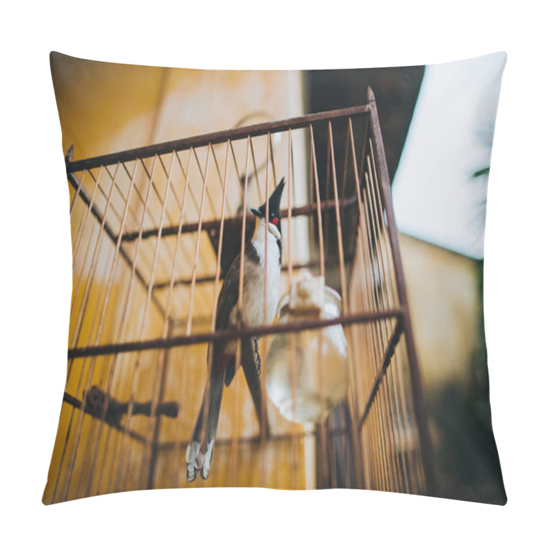 Personality  Bird Pillow Covers