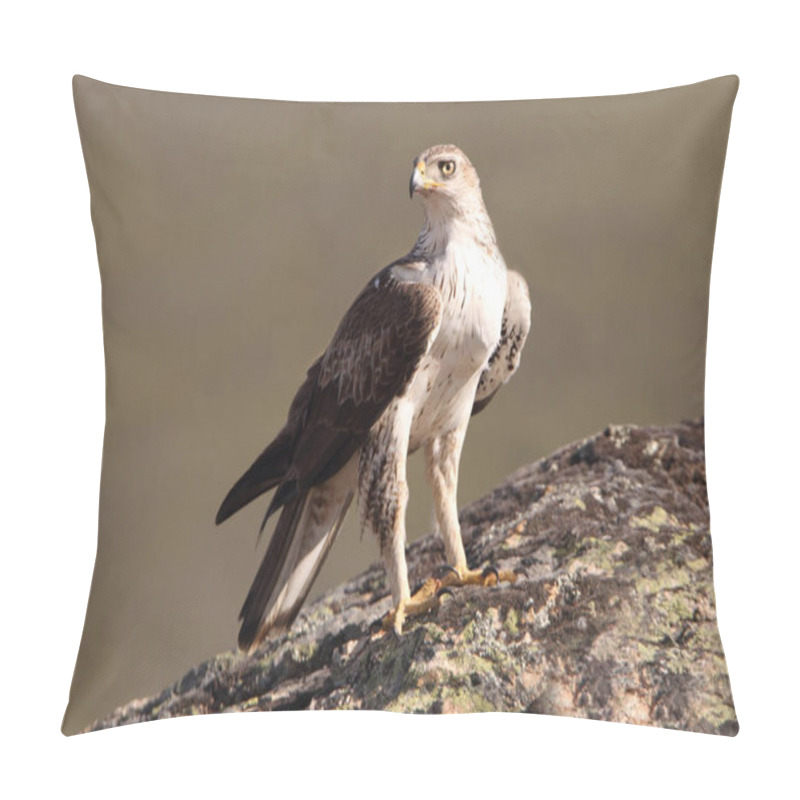 Personality  Bonellis Eagle, Aquila Fasciata, Raptor Pillow Covers