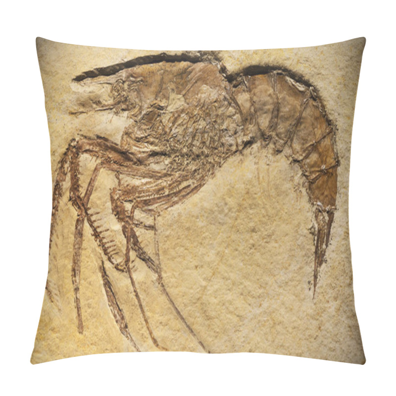 Personality  Prehistoric Animal Preserved In Fossil. Pillow Covers