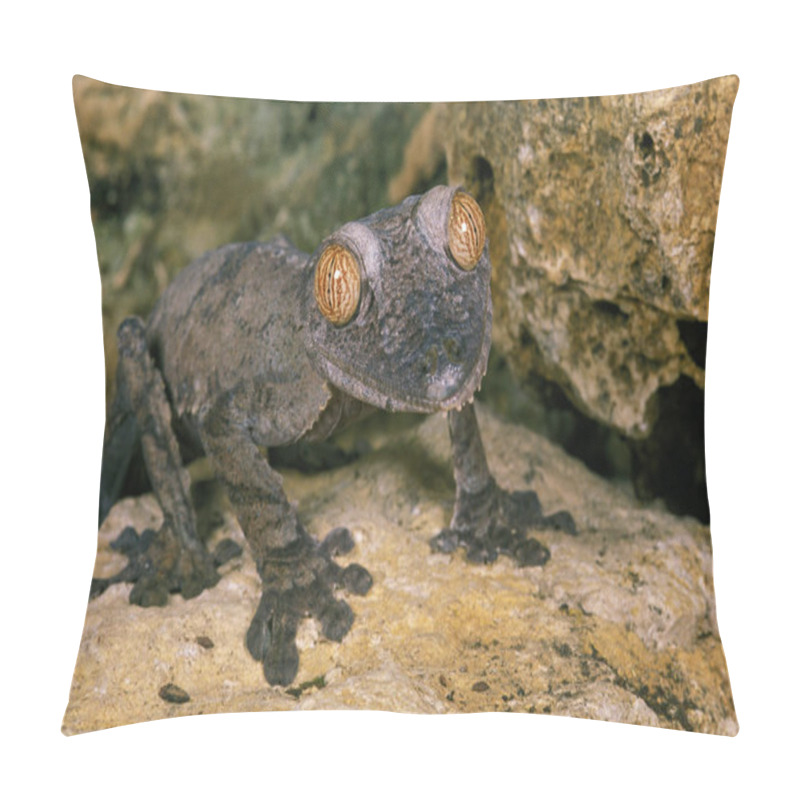 Personality  GECKO A QUEUE PLATE Uroplatus Fimbriatus Pillow Covers