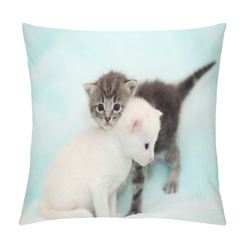 Personality  Little Gray And White Kittens Pillow Covers