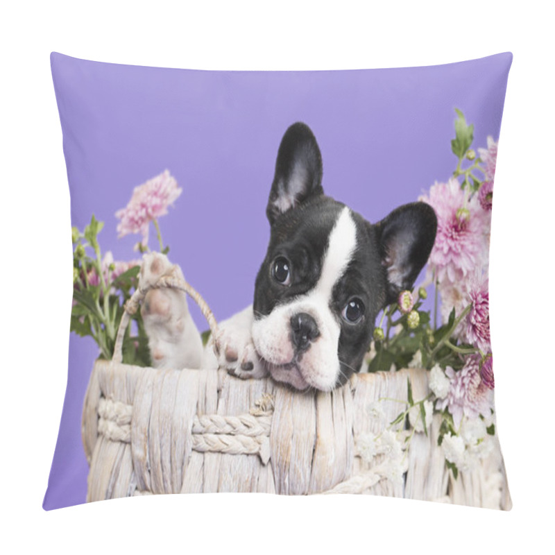 Personality  French Bulldog Puppy Pillow Covers