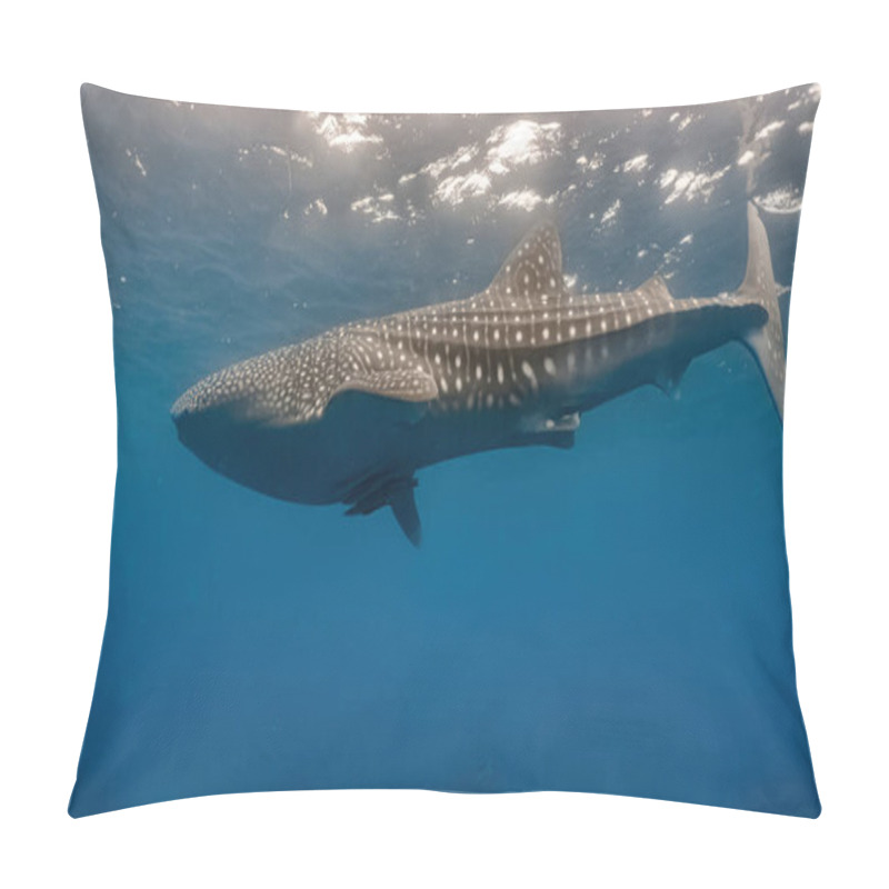 Personality  Whaleshark Slowly Swimming Close To The Surface. Pillow Covers