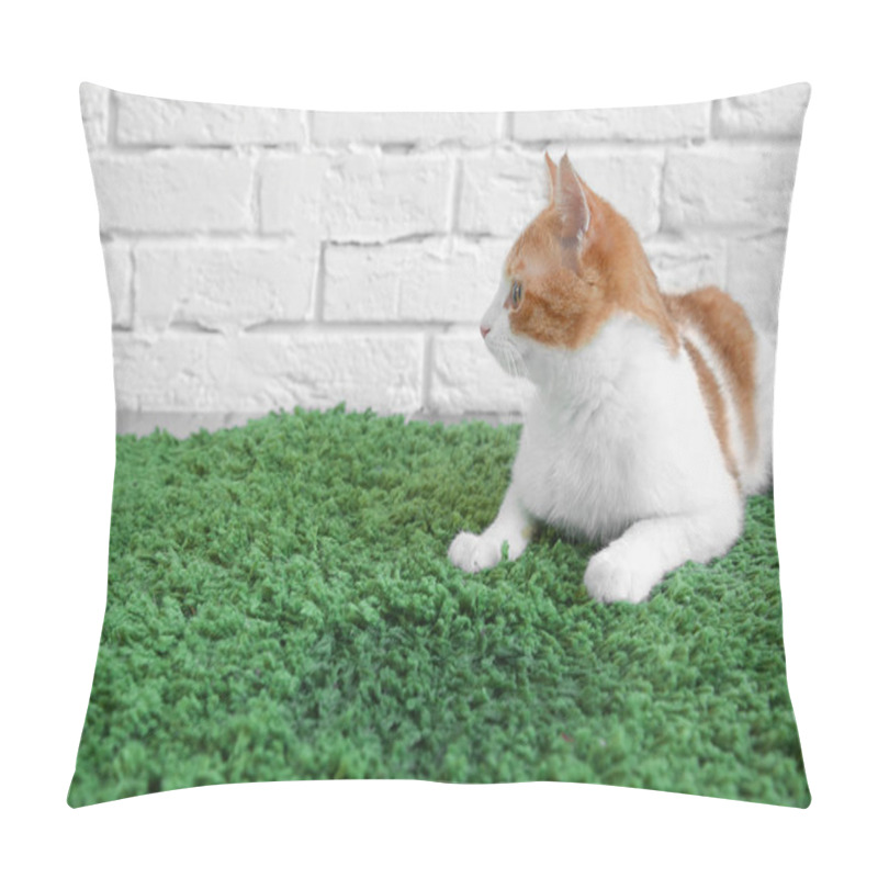 Personality  Cat Lying On Carpet Near Wet Spot Pillow Covers